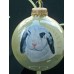 Custom Ornament With One Pet